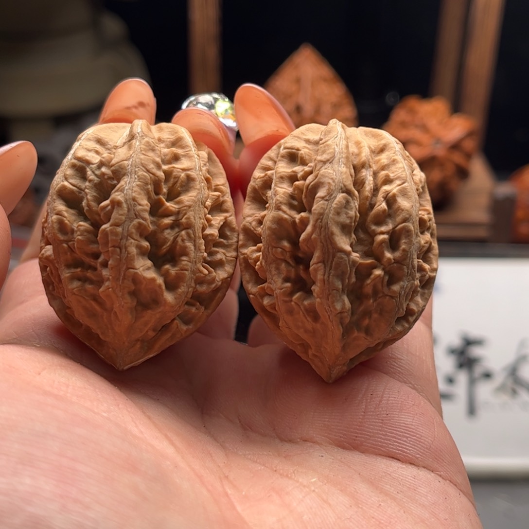 文玩核桃把件关东木子家楸大胖135