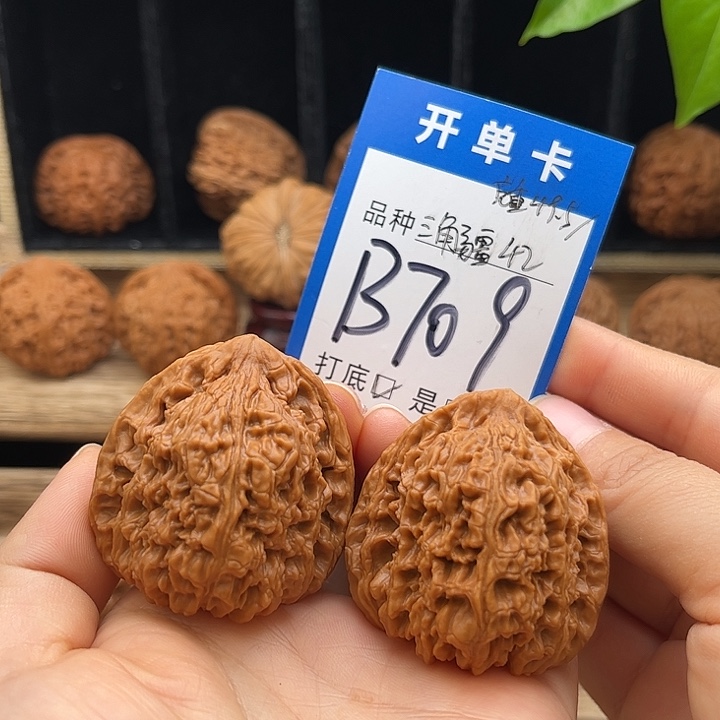 吊坠文玩核桃高炮三角疆42