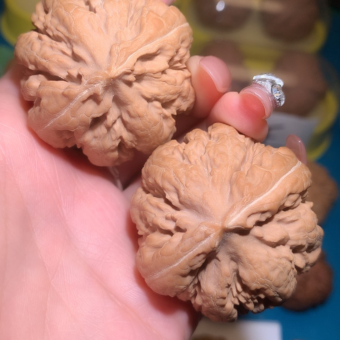 文玩核桃把件45霸王龙