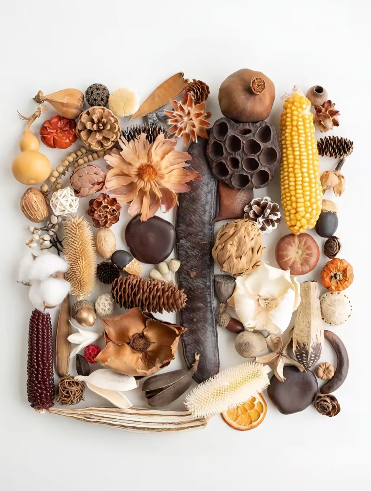 现取现做高端小-45干货/玉米