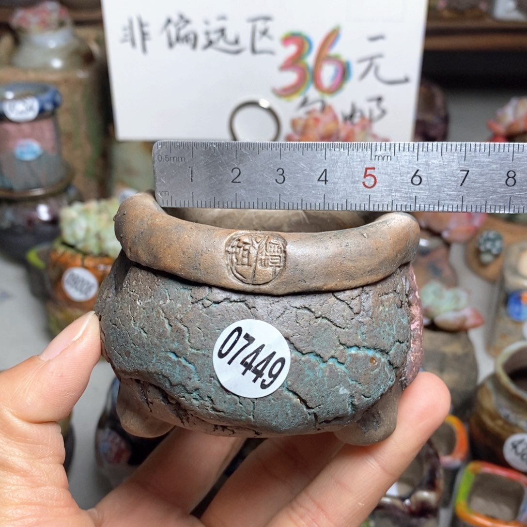 花盆拍3送一个小礼物
