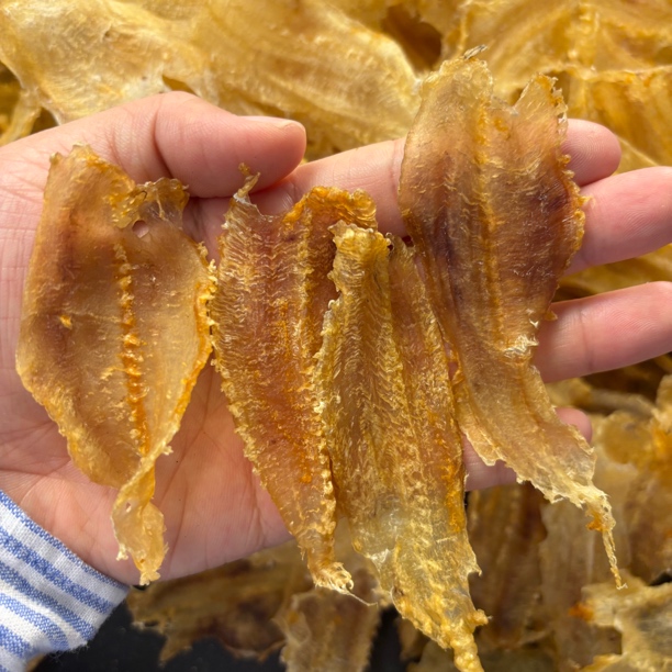 土鳘 鱼胶煲汤鱼胶滋补品1-500克