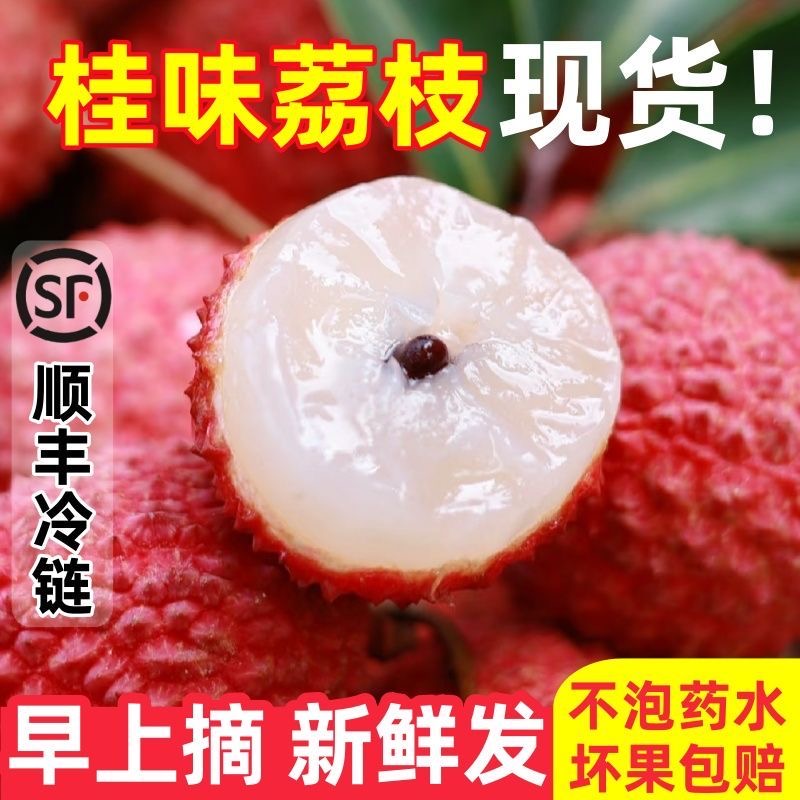 【顺丰助农+桂味】老树纯甜新鲜现摘桂味荔枝应当季孕妇水果整箱6斤