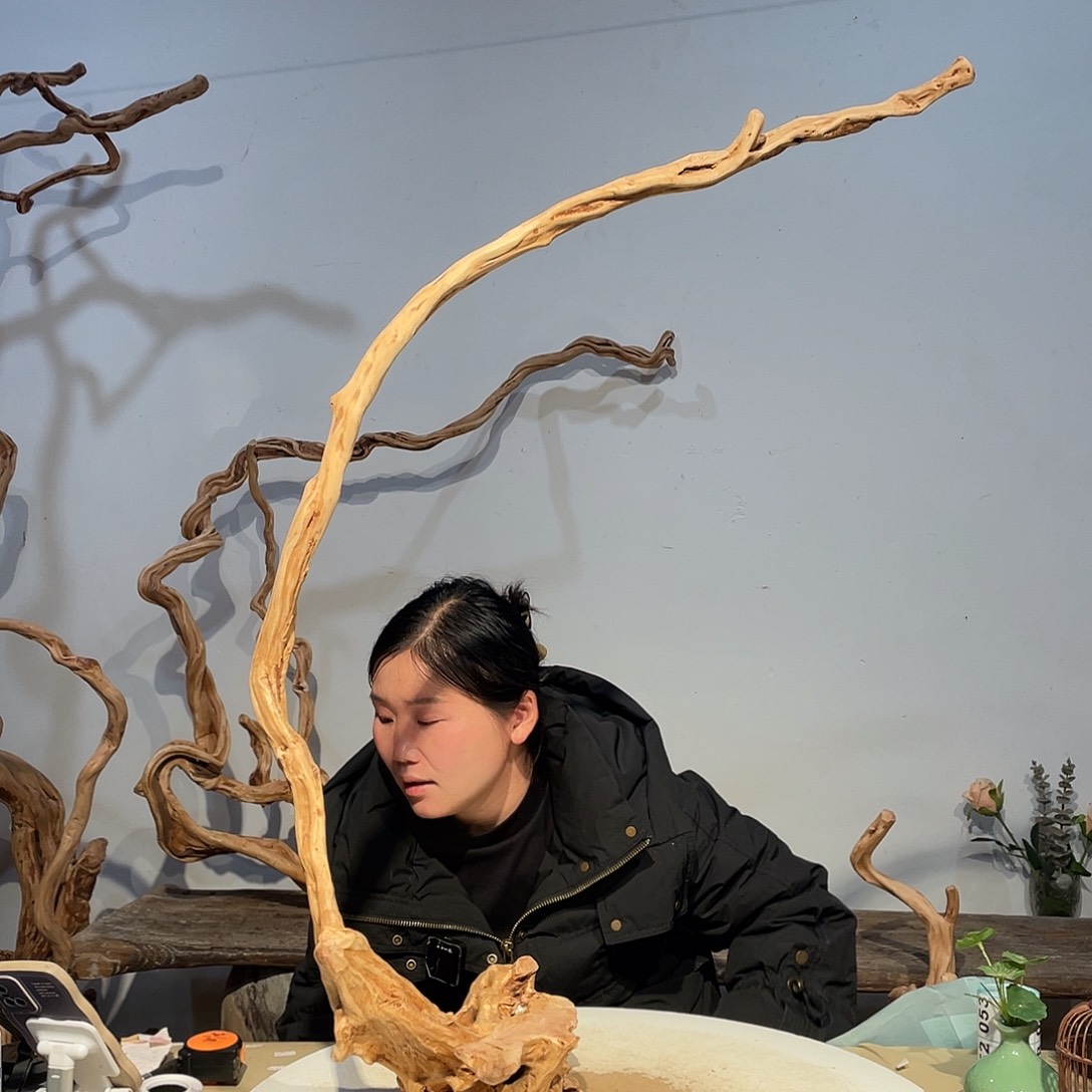 核桃木/黑胡桃（胡桃木）爱**u