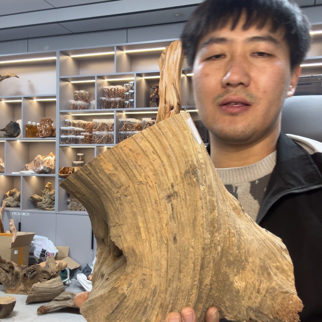 线香太行崖柏毛料