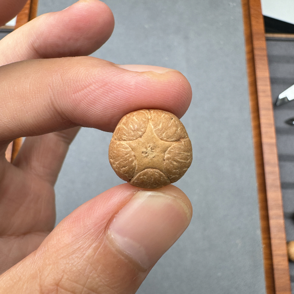精品16+五星上将菩提凤眼菩提三通佛头，非质量问题开孔不退