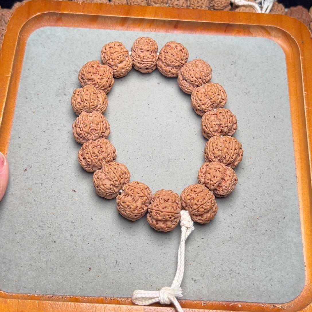 菩提19号金刚菩提梁梅花22定制