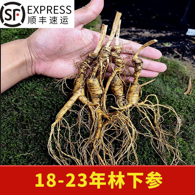 长白山林下山参改价链接已直播间截图为准