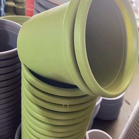 树脂四季1号果绿无托10个