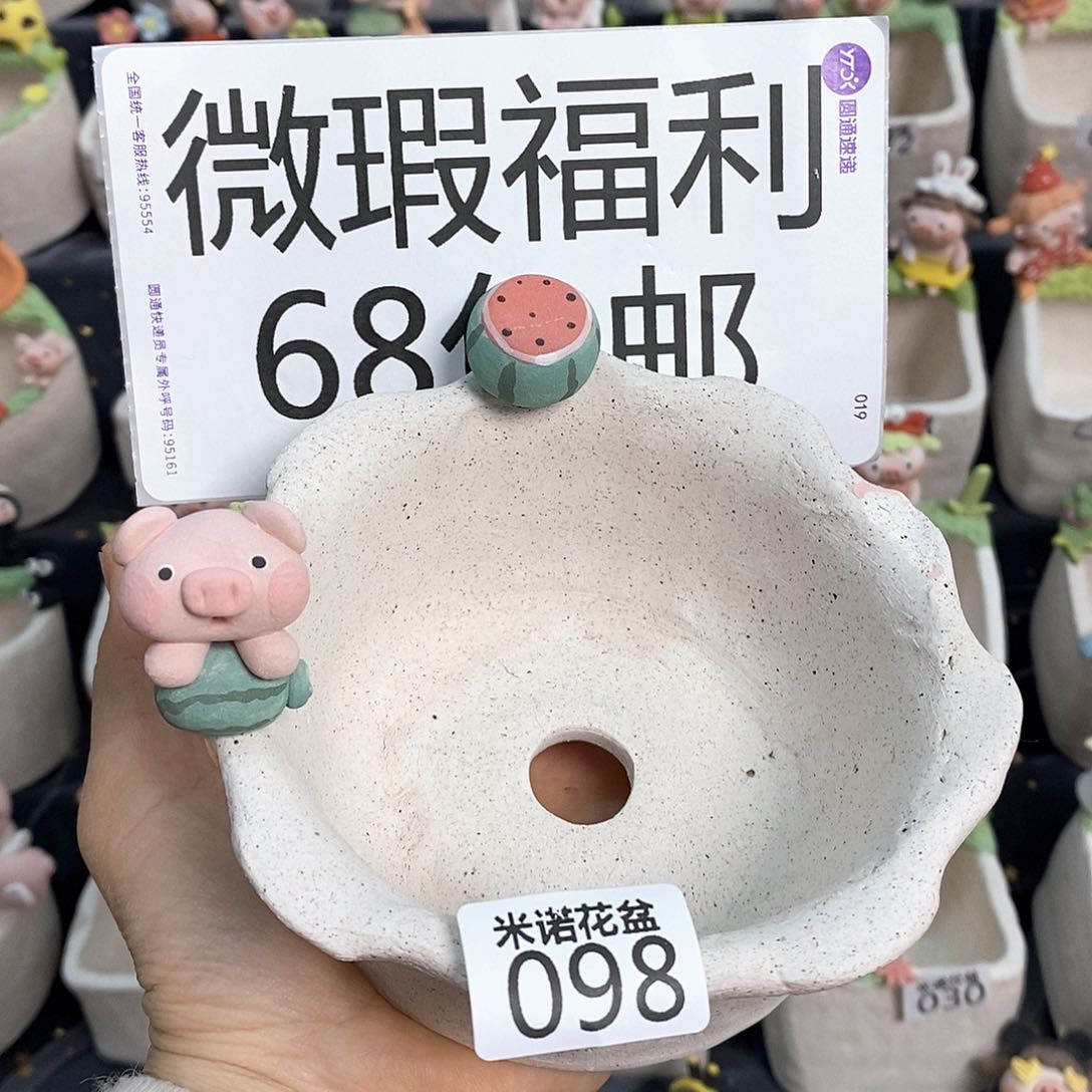米诺多肉花盆098