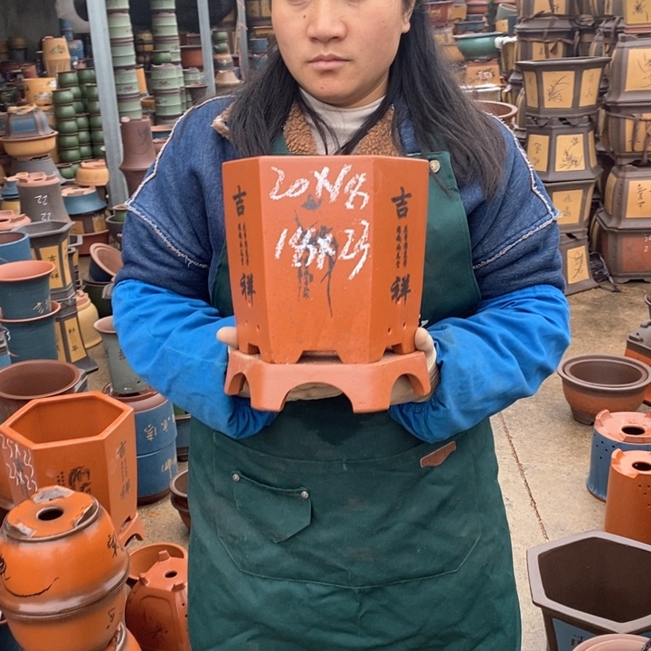 紫砂花盆盆栽花卉苗木种植