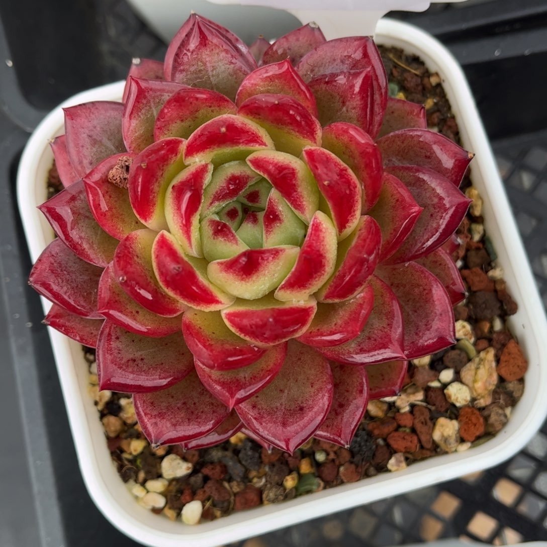 0752 满30包邮天冷地区必拍保温箱