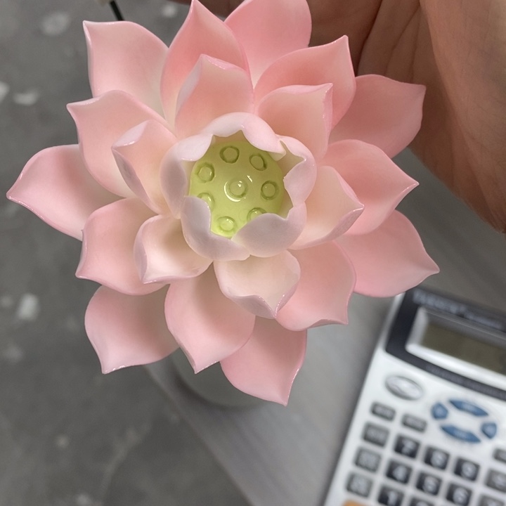 陶瓷陶瓷材料2朵粉