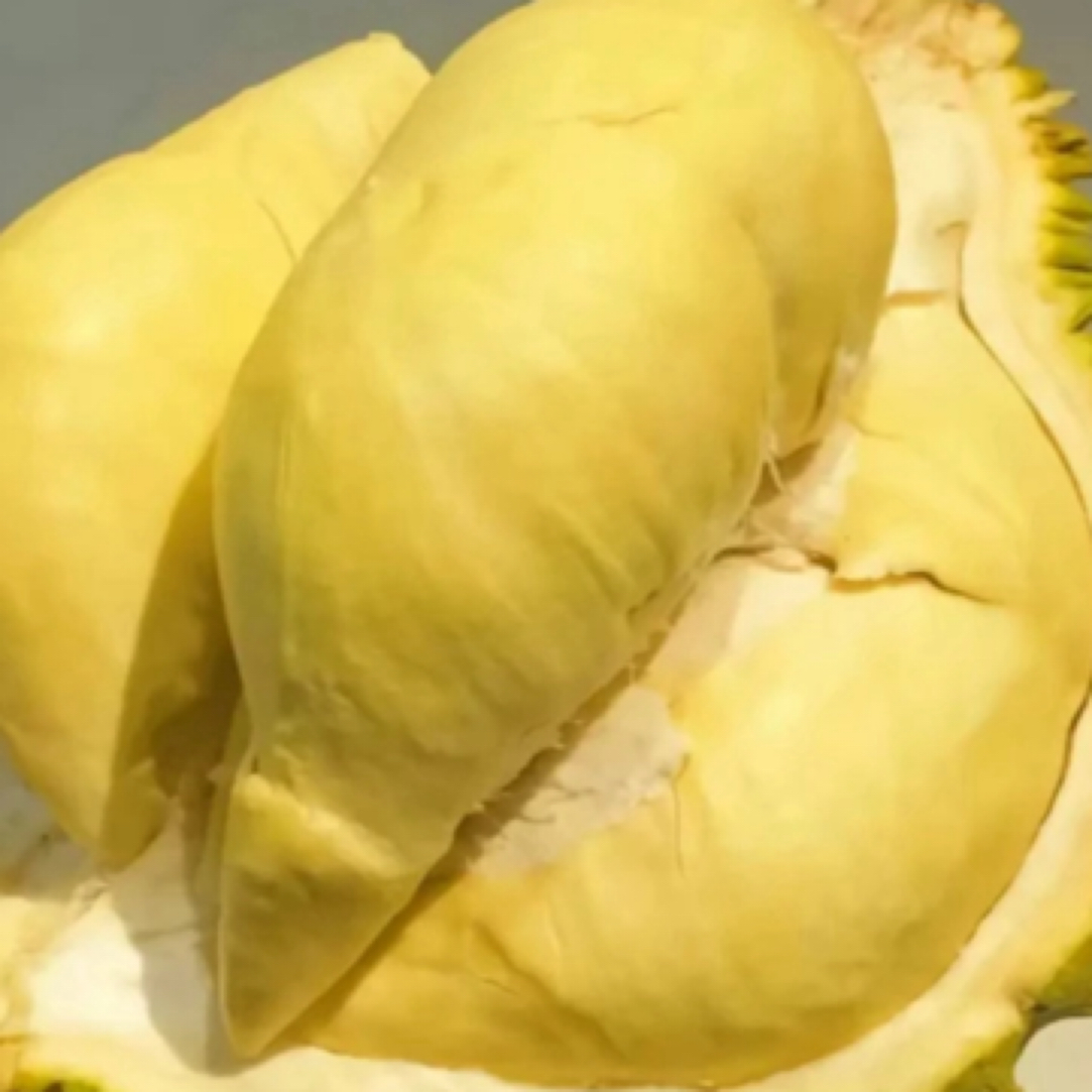 泰国金枕头榴莲-250g果肉-鲜榴莲金枕头榴莲核小泰国金枕泰国