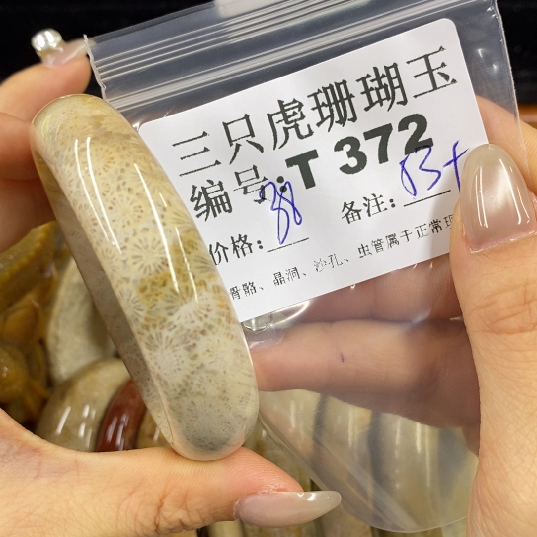 硅化珊瑚（珊瑚玉）1足银镀金镶嵌柠*