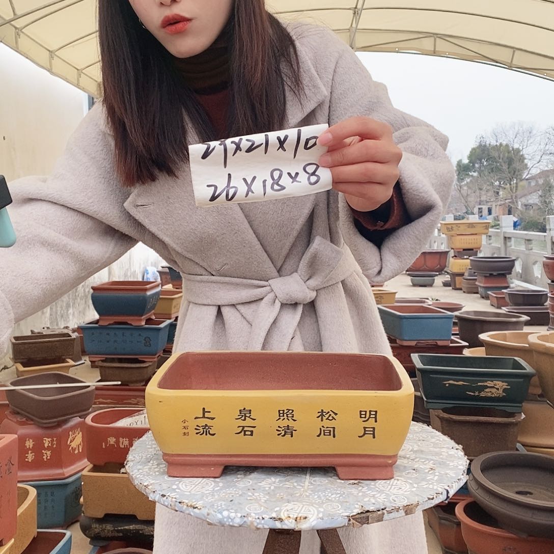 紫砂花盆紫砂花盆