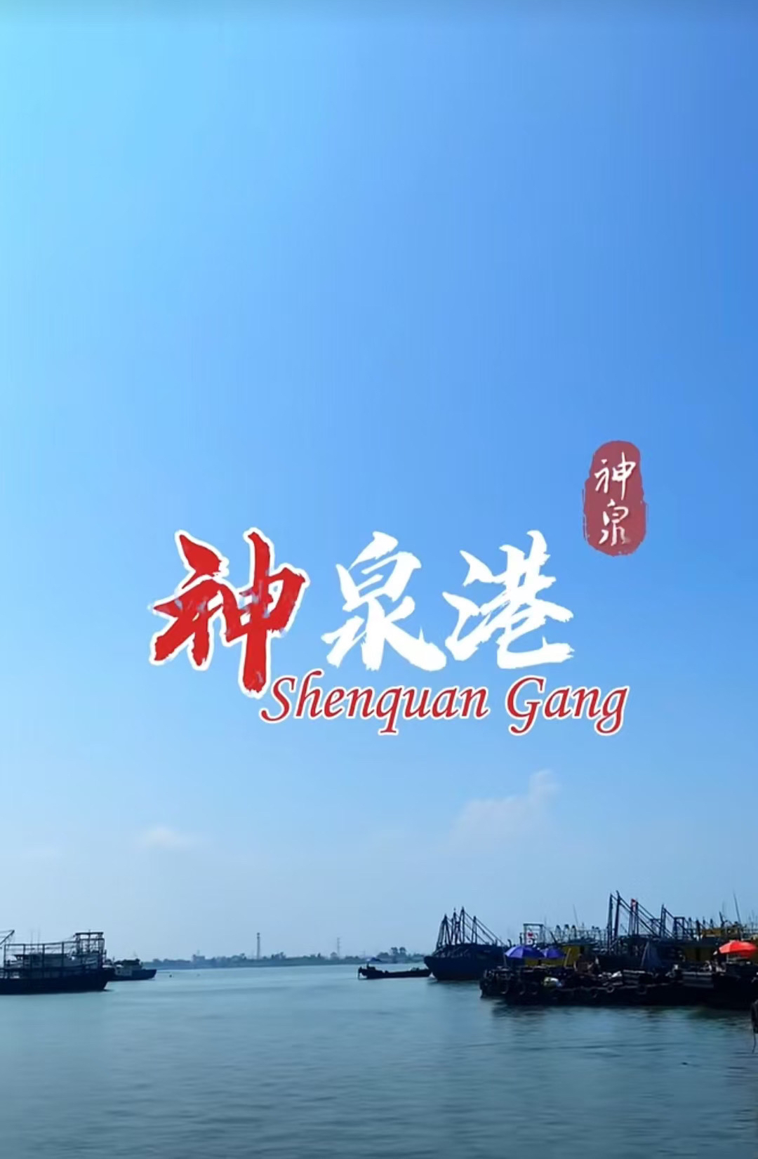 惠来县 神泉港 码头杂鱼现场代购3-10斤