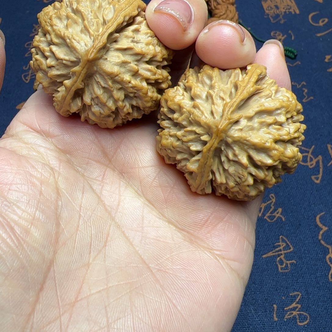 文玩核桃把件秦岭野生植物核桃