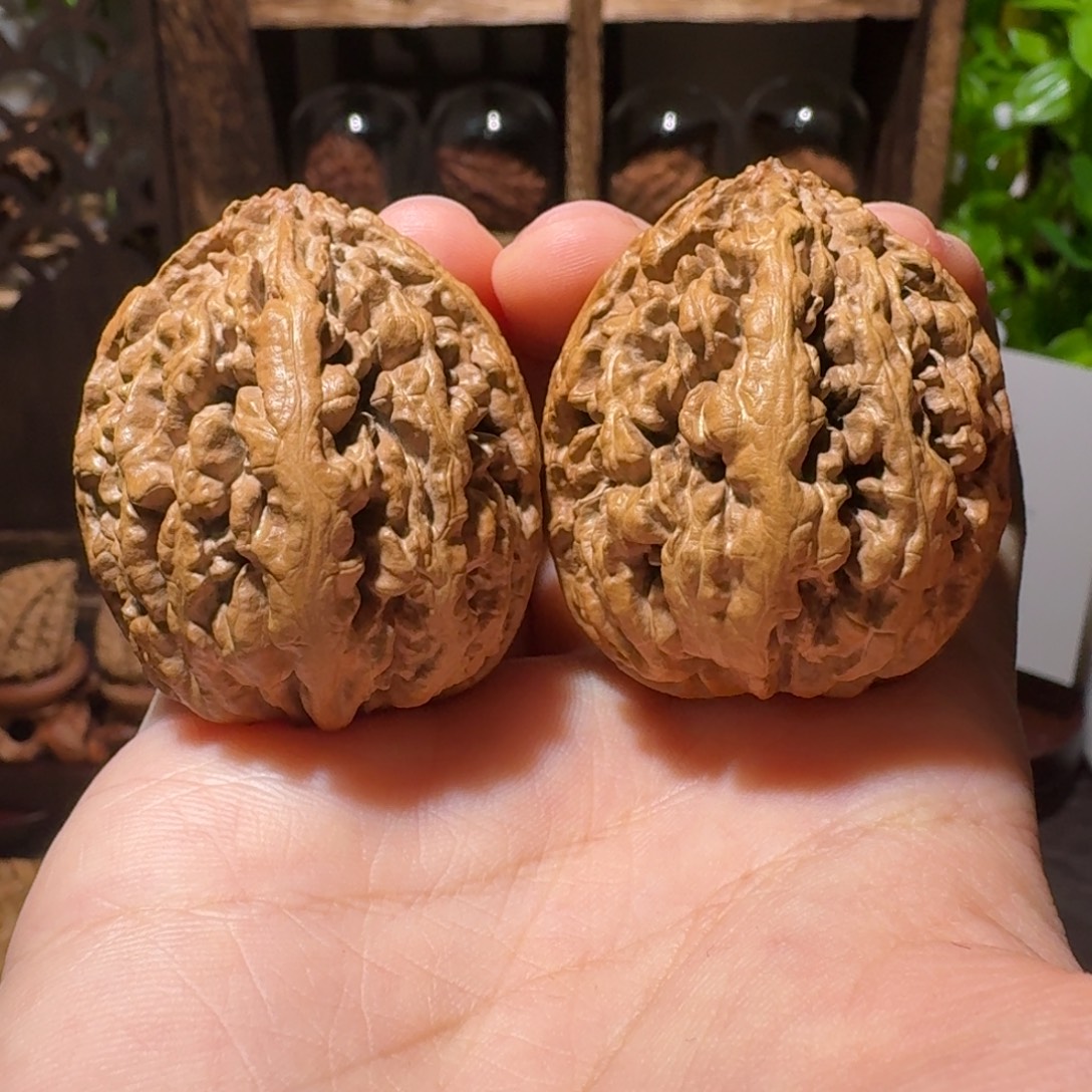 奈***特把件文玩核桃闷头豆粒塔