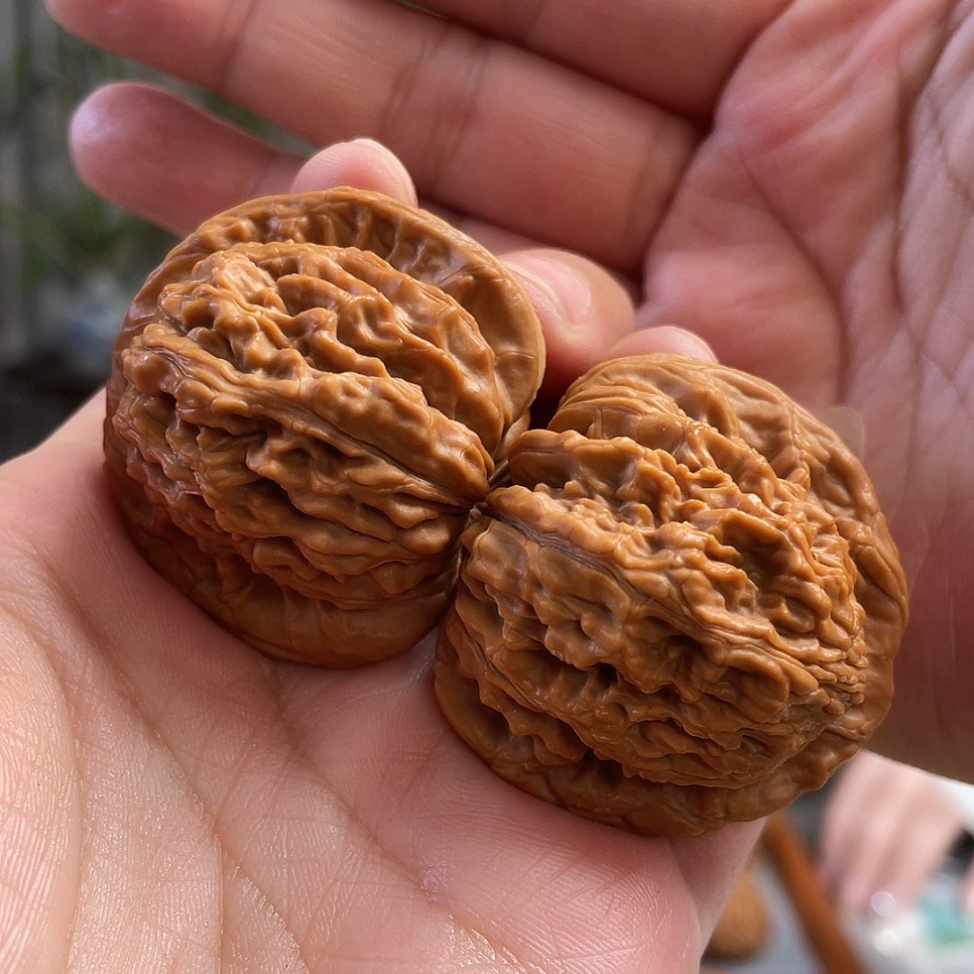 桃核把件42×39尺蓟县四座楼CN01308已打底