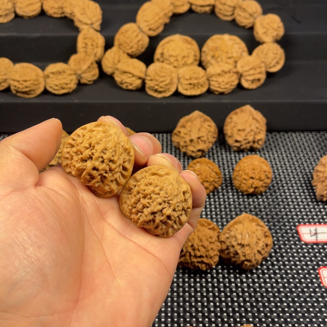 秦岭小王核桃哈哈