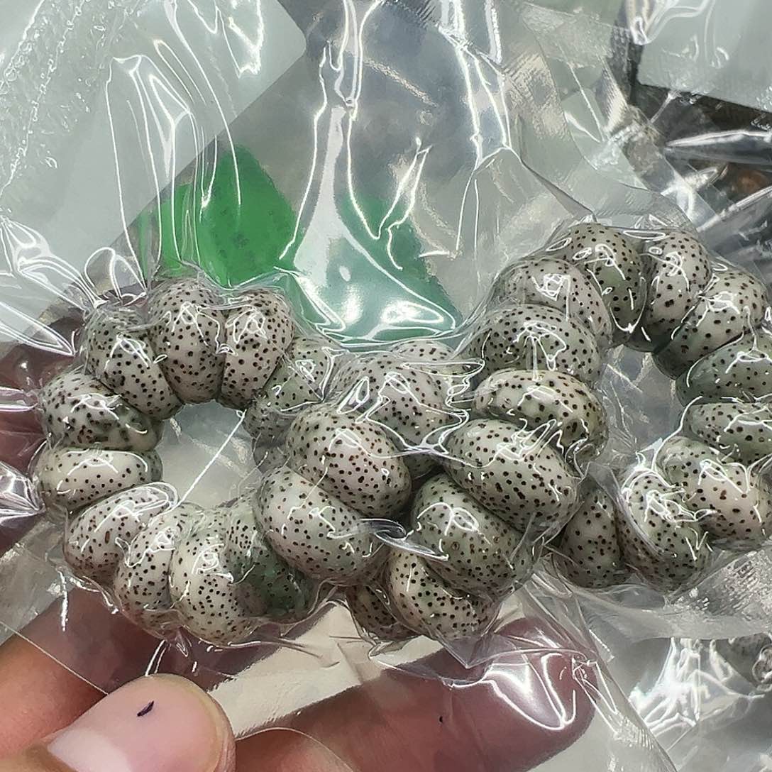 星月菩提手串96傲世星月菩提单圈大肠1.4