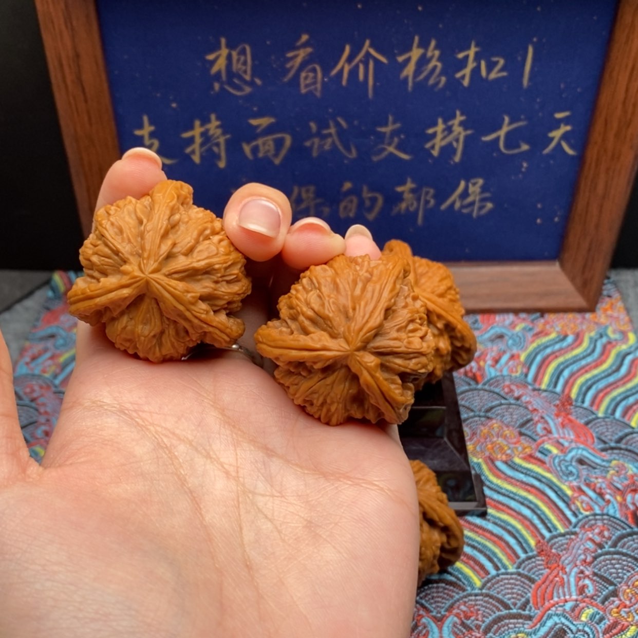 【闪购商品】纣*白狮