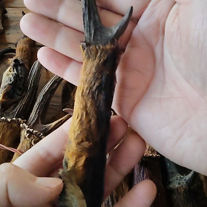 鸿乐堂直播间选货
