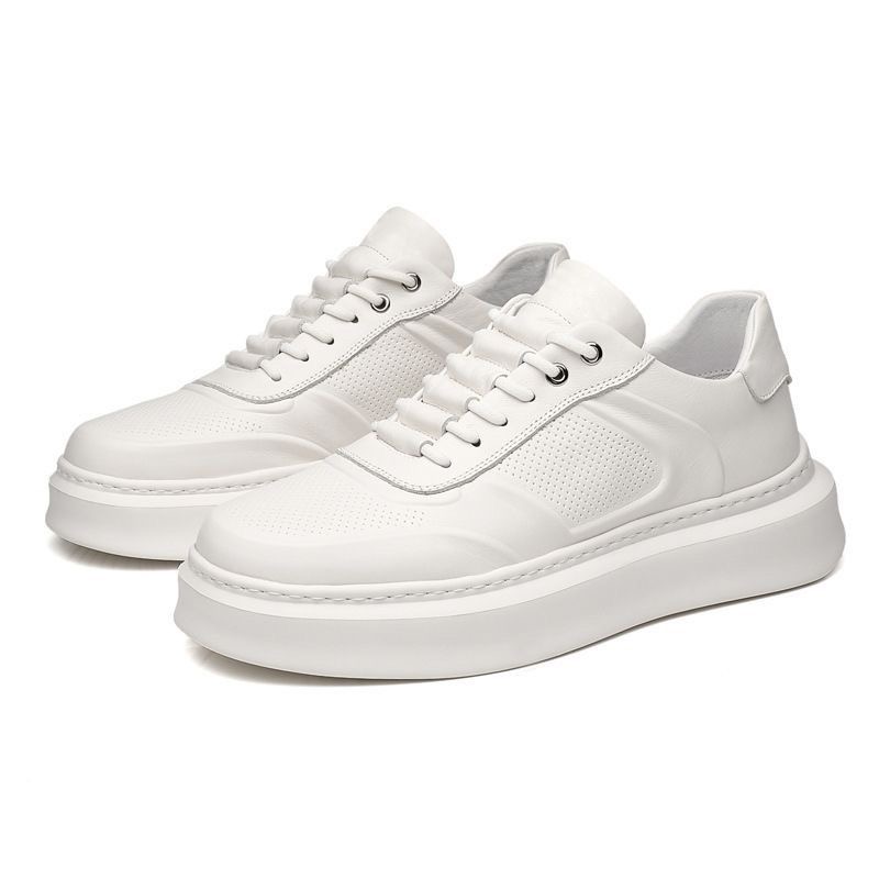 板鞋 新版百搭春季夏季潮流情侣韩版ins