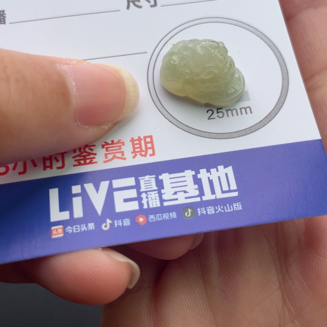 翡翠未镶嵌颈饰小貔貅