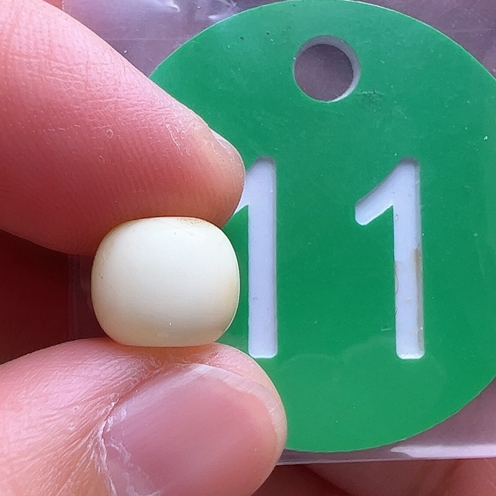 未镶嵌蜜蜡裸石9.3mm金沙