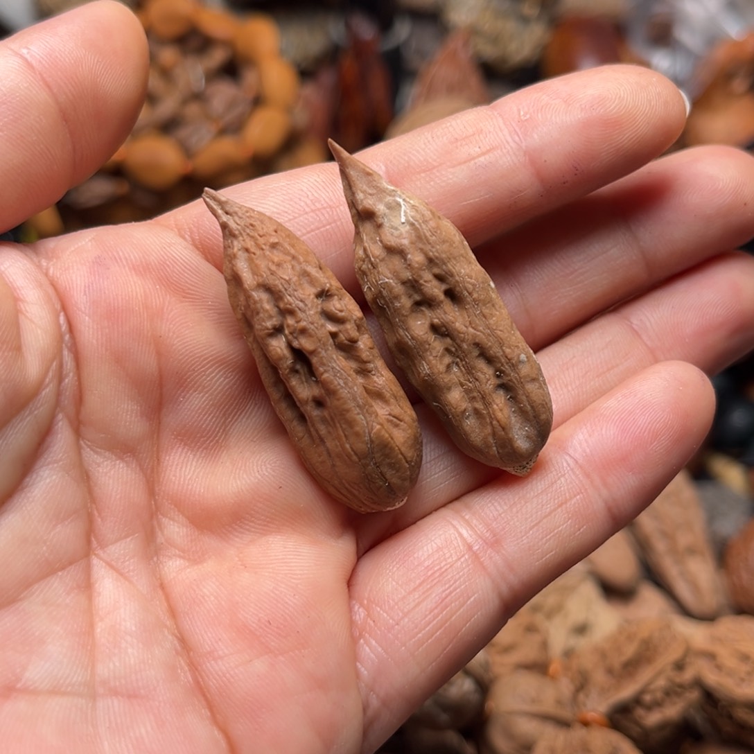 吊坠文玩核桃瑕疵80