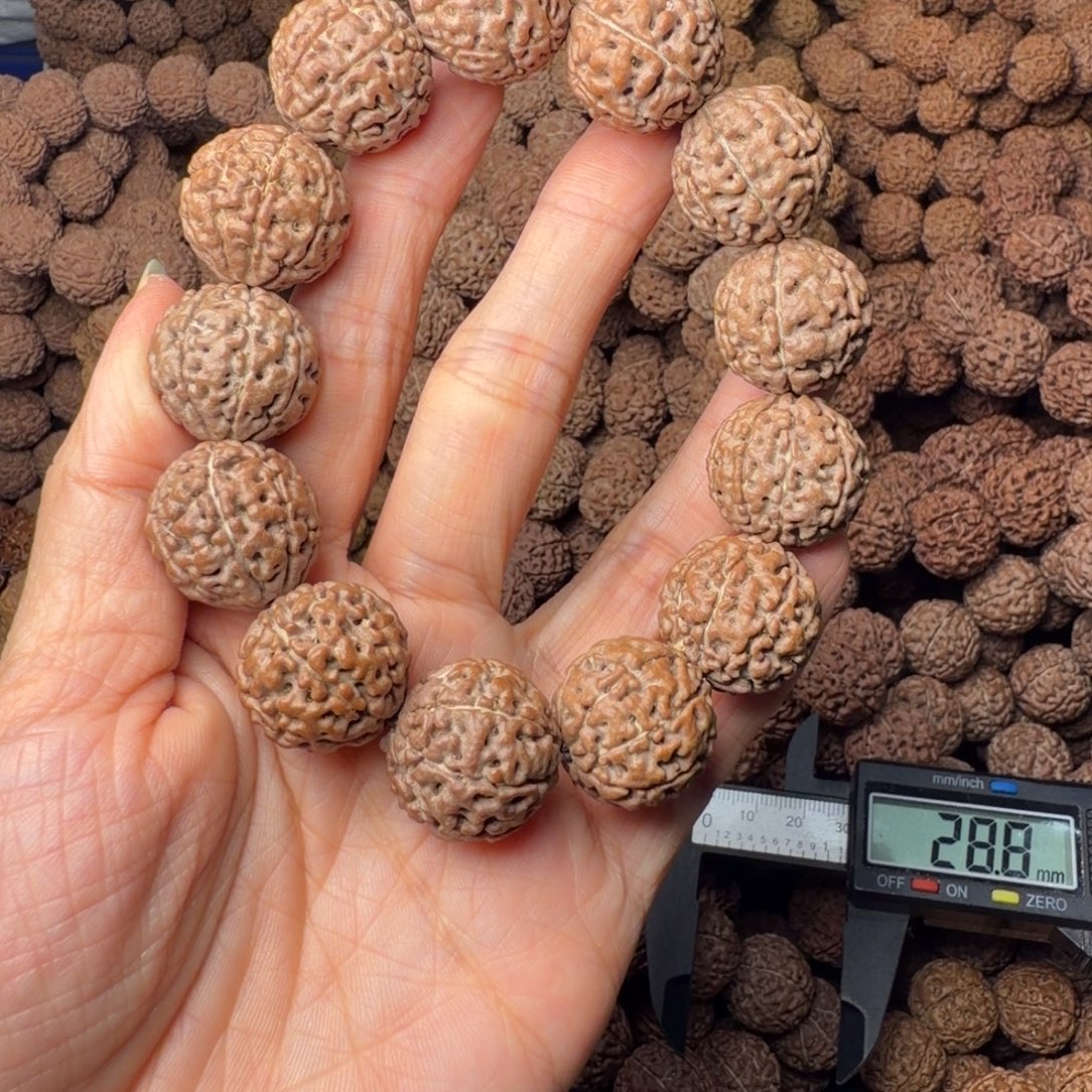 金刚菩提手串8瓣卡20尺，59号