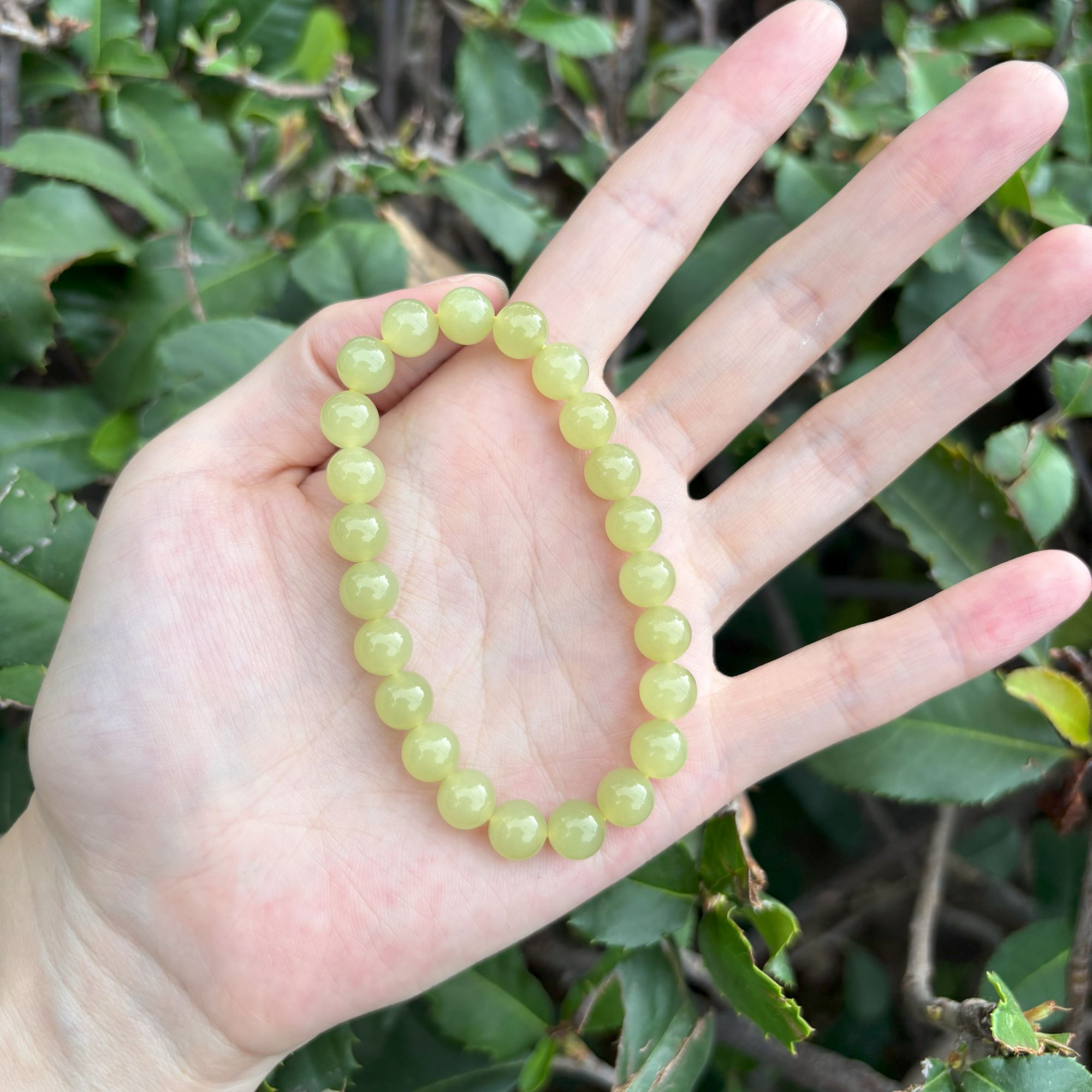 8MM高品质新疆和田玉黄口料手串鸡油黄百搭国风女士手链多样发一