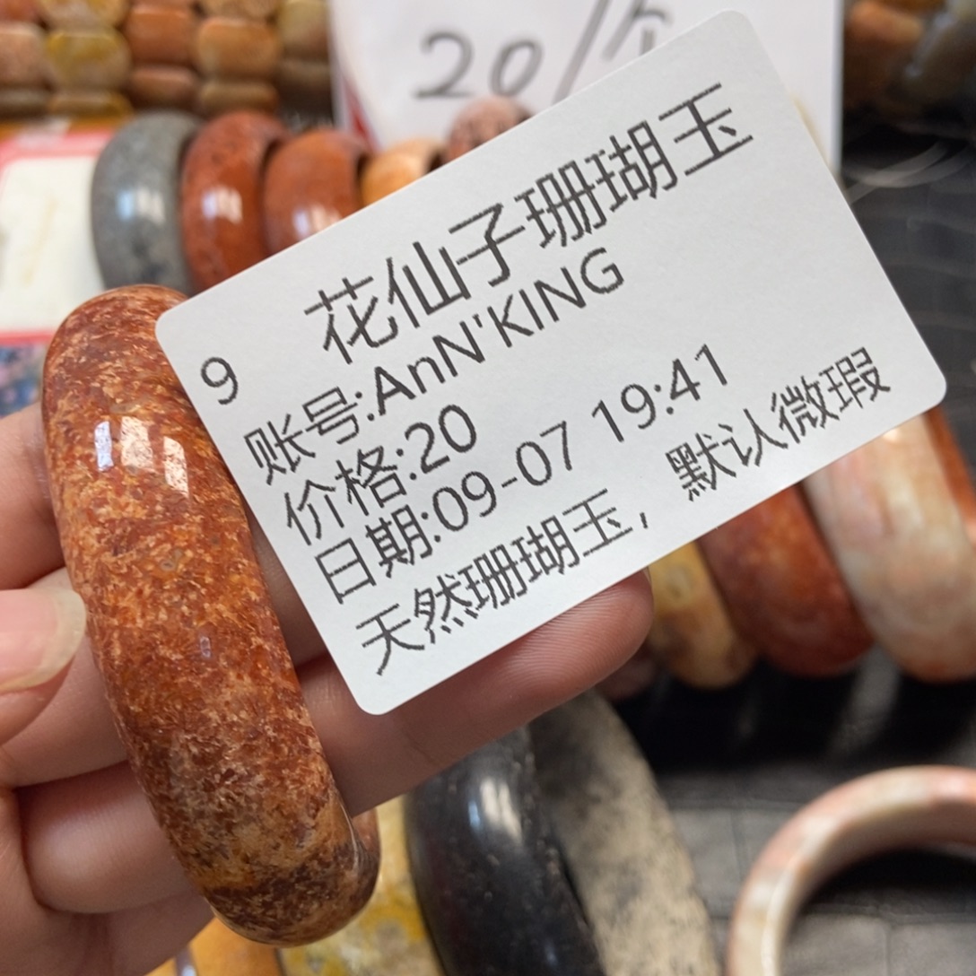 A***G未镶嵌硅化珊瑚（珊瑚玉）珠宝半成品9