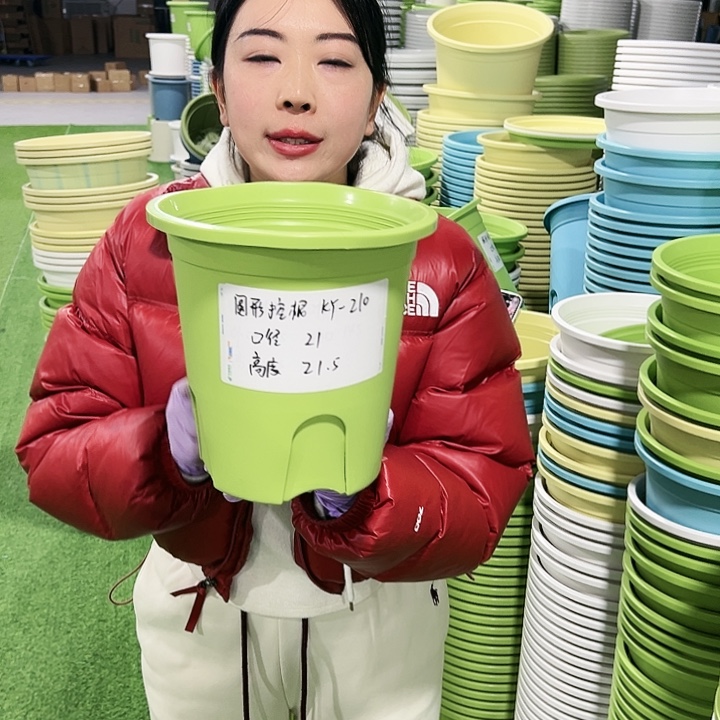 正品圆控口21高21果绿8只无托