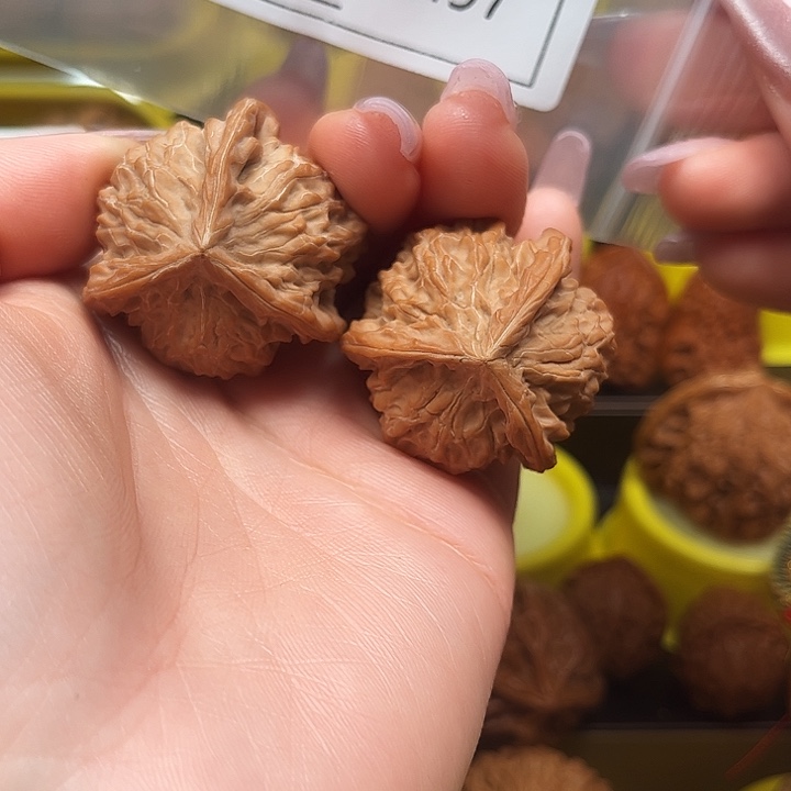 文玩核桃把件t wo z x y wo m