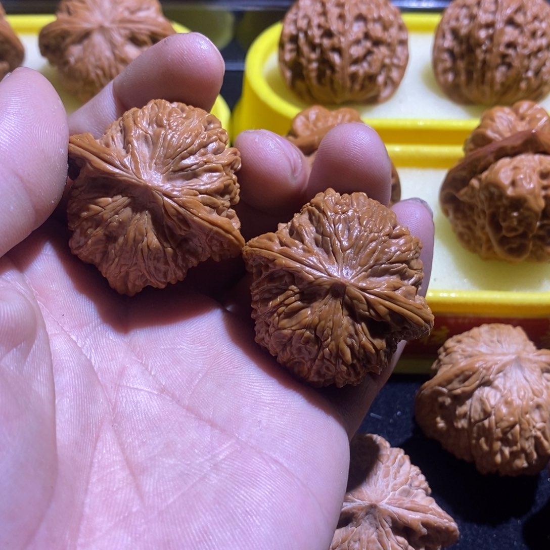 拒****）38磨盘狮子头！！！！！！！