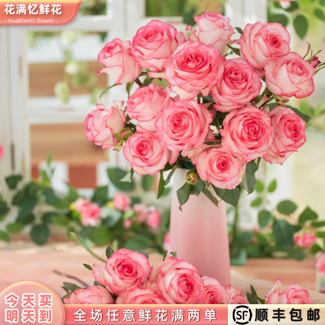 次日达 -【艾莎玫瑰】10枝单头玫瑰鲜花鲜切花家居优选批发任意两单升级顺丰包邮三单送随机花瓶今天拍明天到