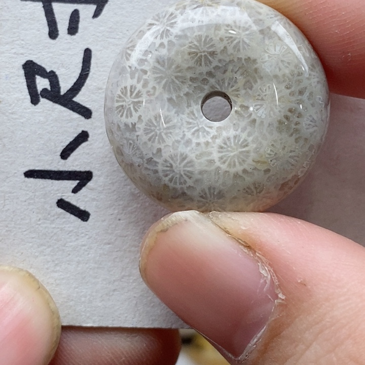 颈饰未镶嵌硅化珊瑚（珊瑚玉）