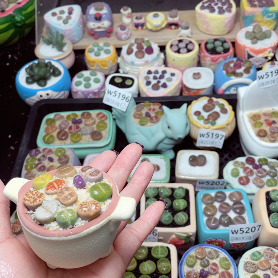 w5213 -零下地区拍保温箱-15支持寄养