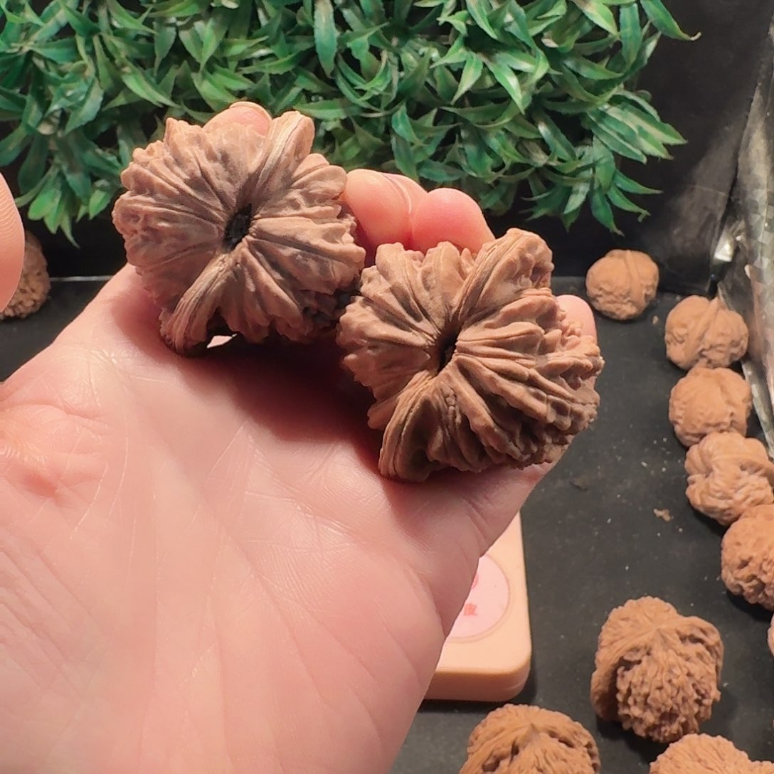 枫****1全品四座楼狮子头