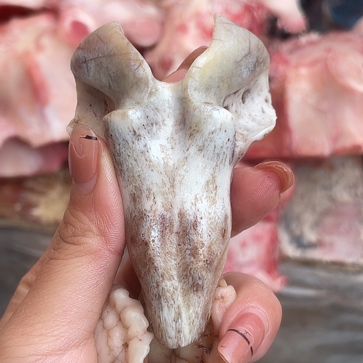 小****养殖鹿骨三界牌子