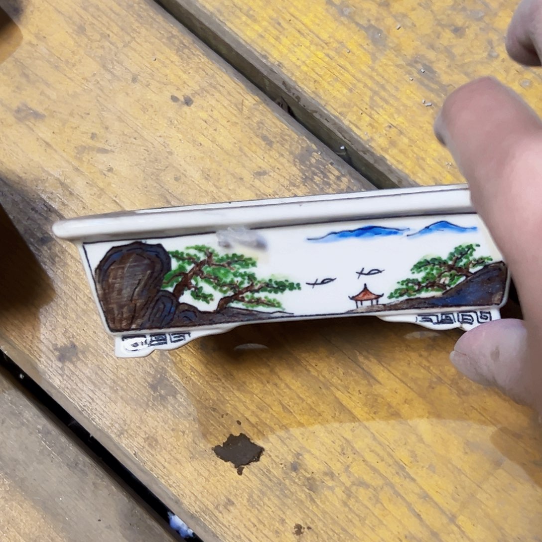 无花朵杂木盆景盆