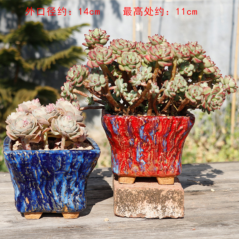 爆裂流釉方形群生多肉花盘透气粗颗粒
