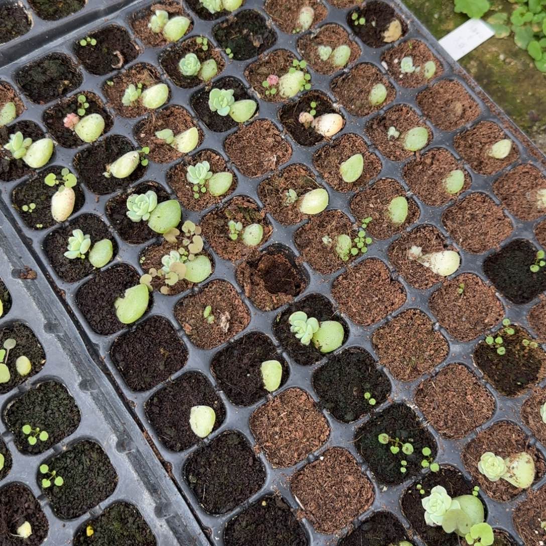 P192 穴一个满25包邮