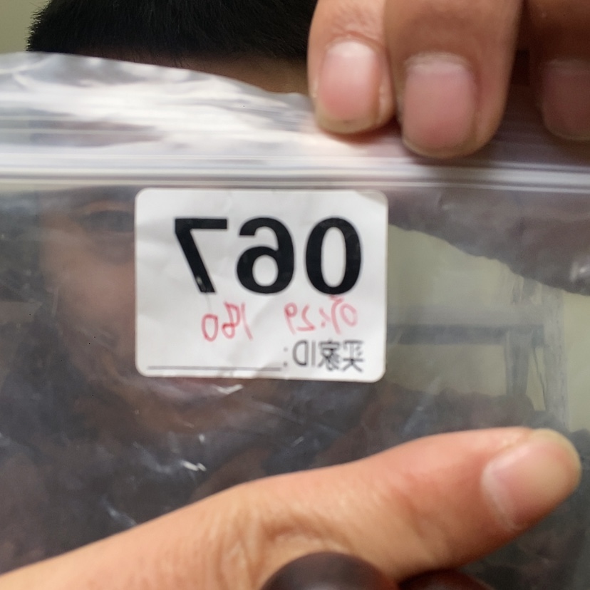 【闪购商品】大果紫檀（缅甸花梨）067大