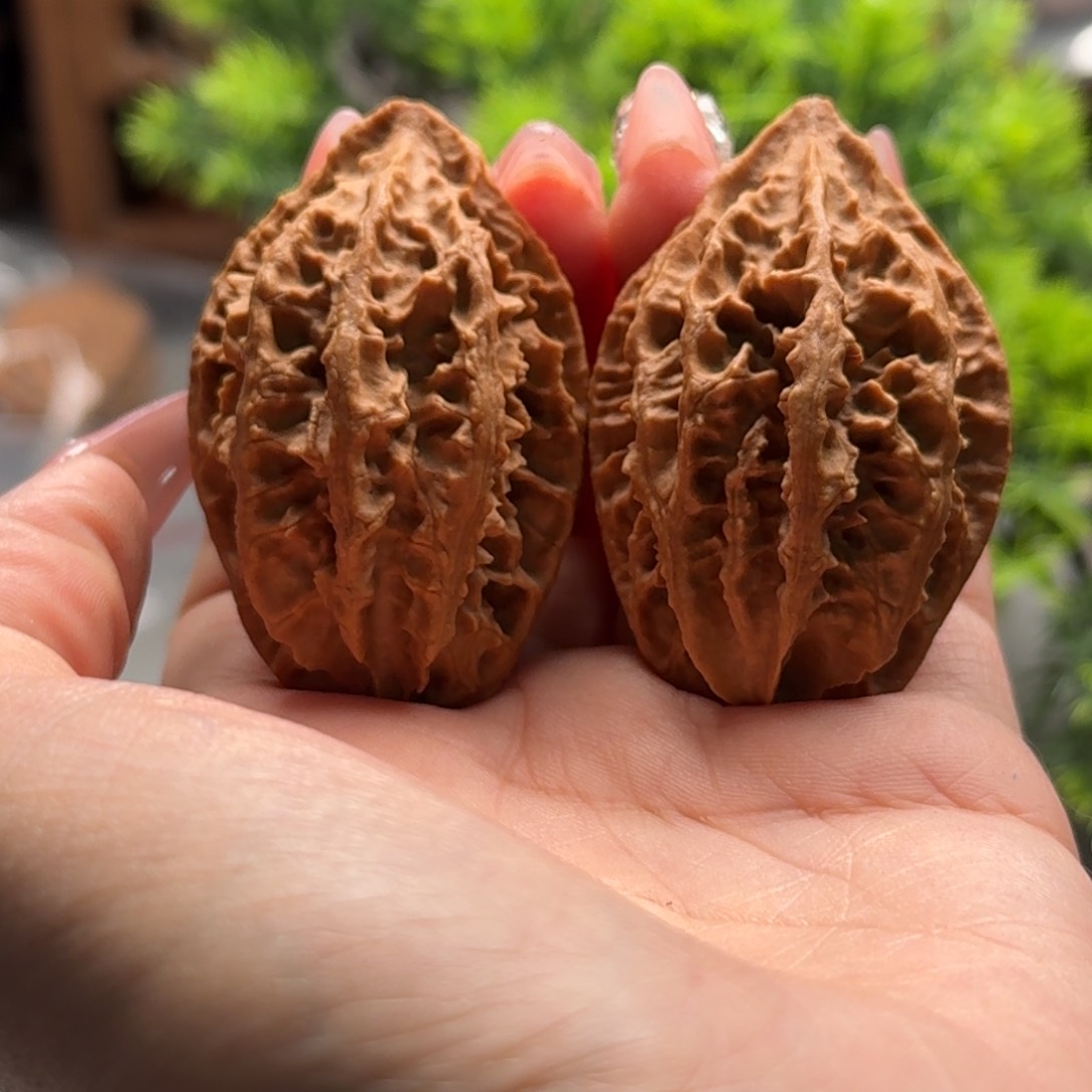 文玩核桃把件关东木子楸百核192