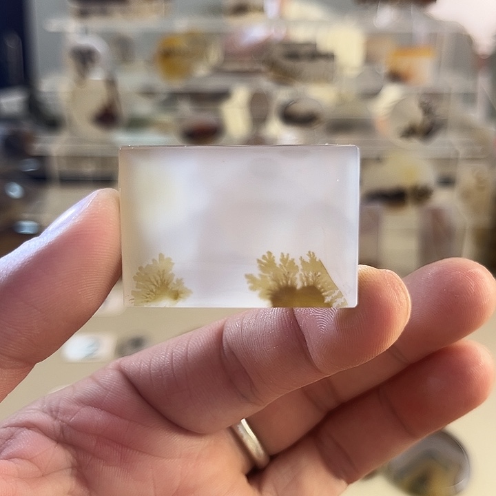 玛瑙/玉髓吊坠(不含链)未镶嵌