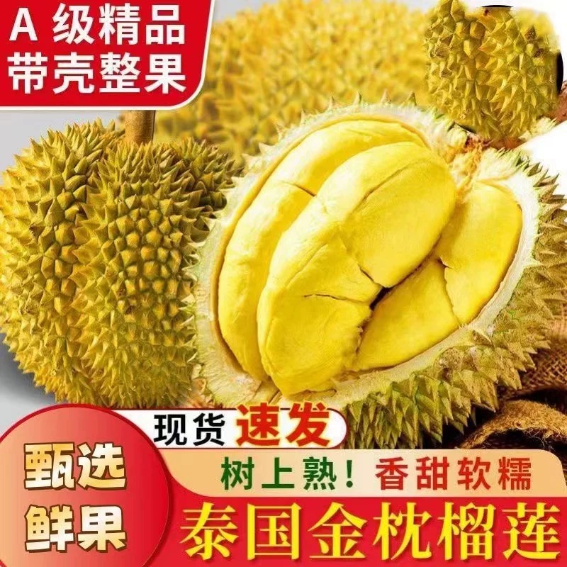 新姐【顺丰次日达】泰国A级新鲜金枕榴莲老树熟2-7斤肉厚核小果肉饱满带壳现货现发金枕泰国东部